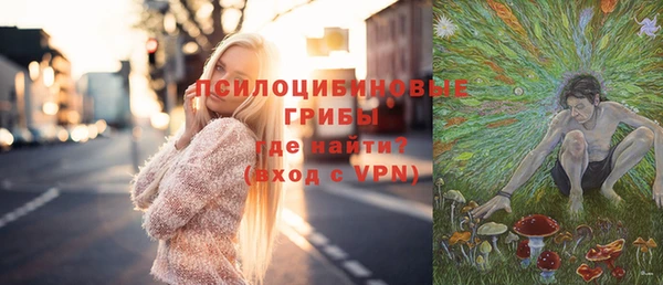 прущий лед Туринск