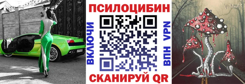 Купить  Строитель  Галлюциногенные грибы Magic Shrooms 